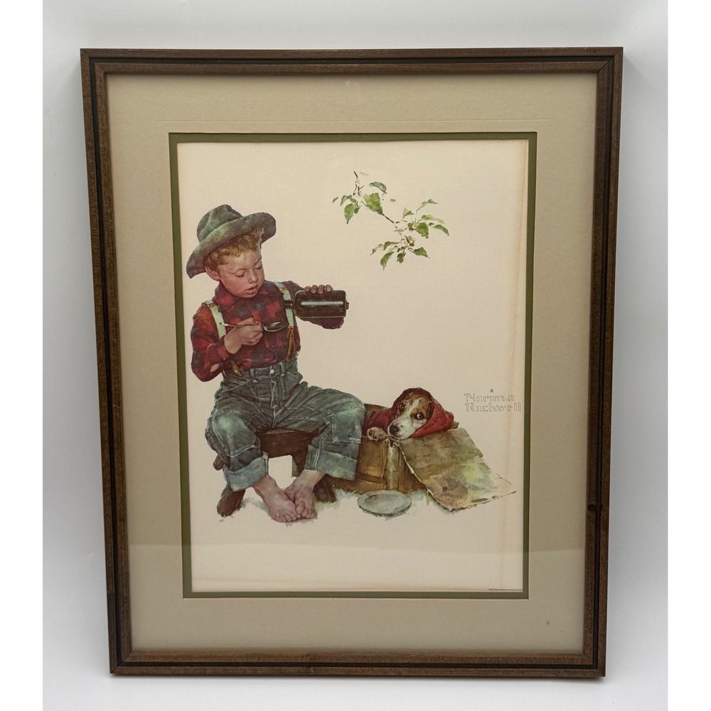 Norman Rockwell Boy Nursing Sick Dog Framed Brown & Bigelow Print 21x17